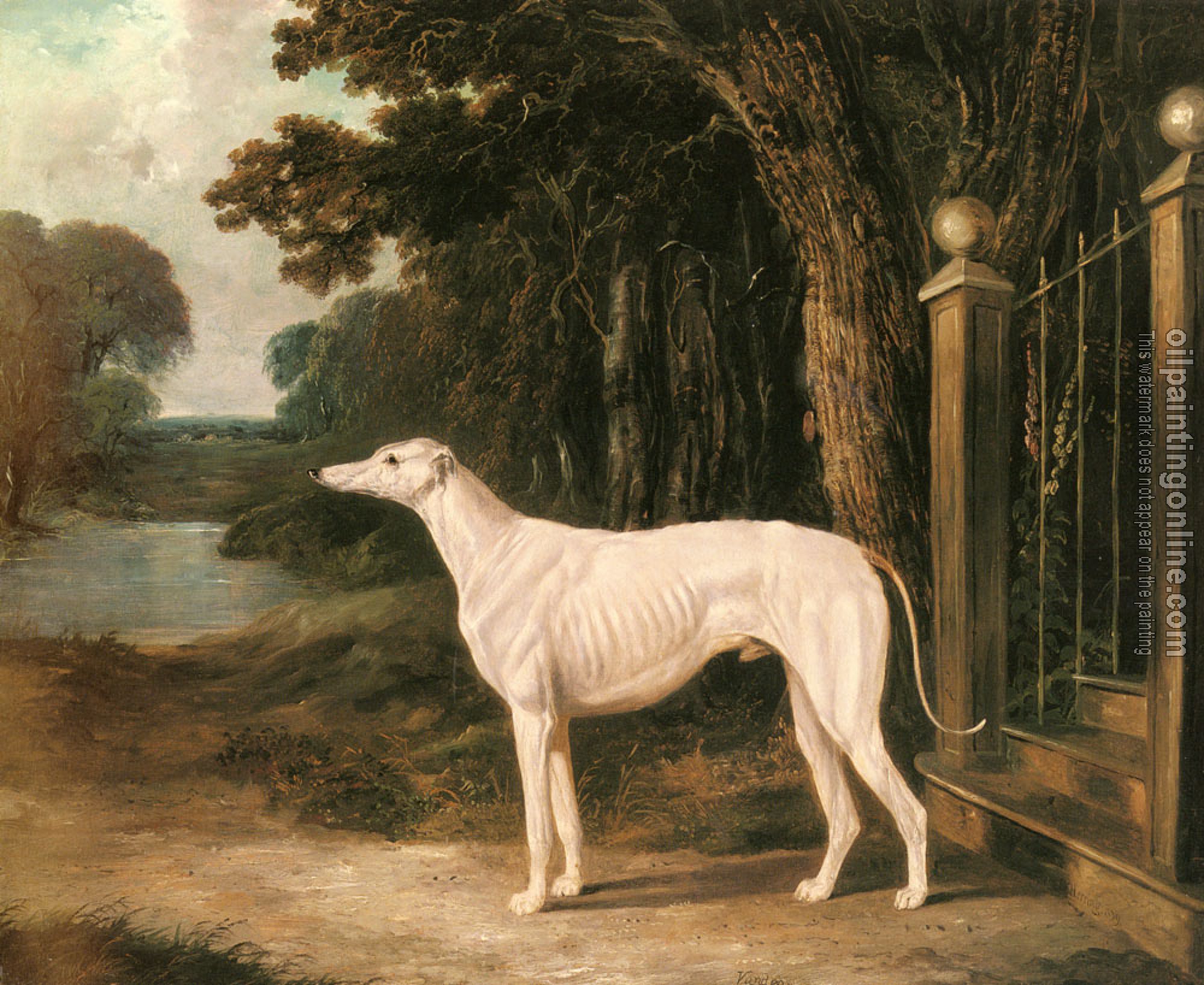 Herring, John Frederick Jr - Vandeau, A White Greyhound